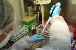 Κορονοϊός: Κοκτέιλ δύο φαρμάκων φρενάρει την εξάπλωση του ιού στα ανθρώπινα κύτταρα