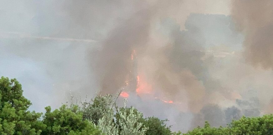Αγρίνιο:Μεγάλη φωτιά στην Αβώρανη - ΒΙΝΤΕΟ