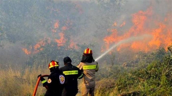 Ηλεία: Ξέσπασε πυρκαγιά στην Πατρών-Πύργου- Απειλούνται καταστήματα