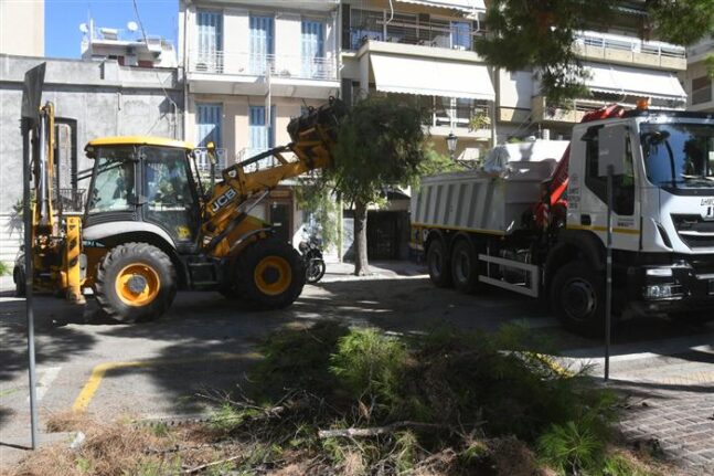 Δήμος Πατρέων: Κλάδεμα δέντρων σε Ομόνοια και ΚΕΤχ