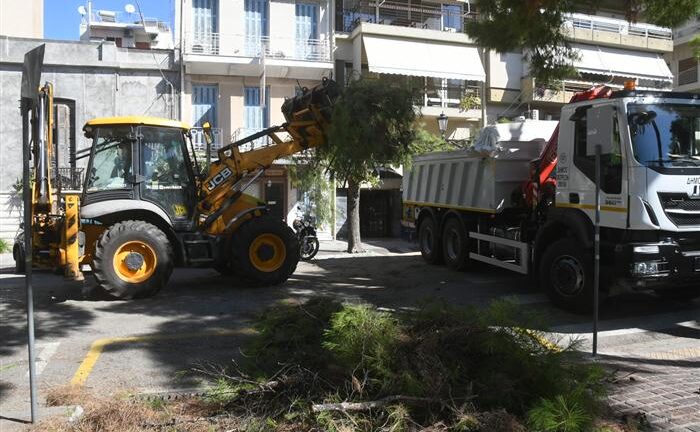 Δήμος Πατρέων: Κλάδεμα δέντρων σε Ομόνοια και ΚΕΤχ