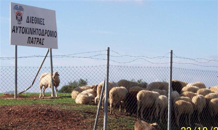Αυτοκινητοδρόμιο: Συνάντηση στην Πάτρα ζητάει ο επενδυτής