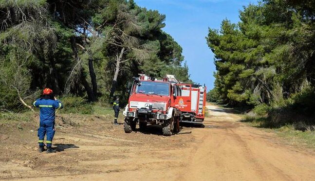 Αχαΐα: Φωτιά κοντά στο Γομοστό - Εσπευσαν δυνάμεις της Πυροσβεστικής