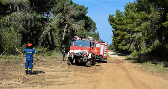 Αχαΐα: Φωτιά κοντά στο Γομοστό - Εσπευσαν δυνάμεις της Πυροσβεστικής