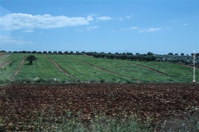 Δυτική Αχαΐα: Ώρα προστίμων για ιδιοκτήτες ακινήτων