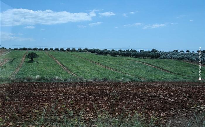 Δυτική Αχαΐα: Ώρα προστίμων για ιδιοκτήτες ακινήτων