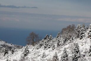 Καιρός