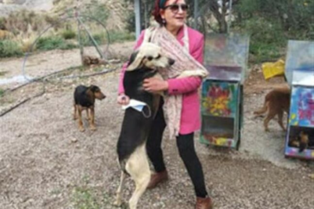 Ακράτα: Ζωγράφισε για προστασία των αδέσποτων