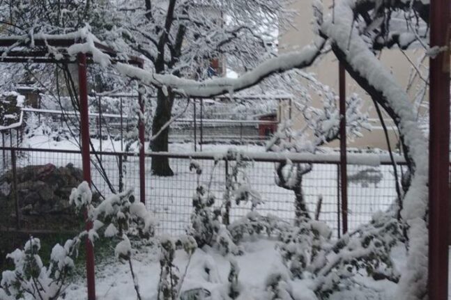 Το έστρωσε για τα καλά στα Καλάβρυτα
