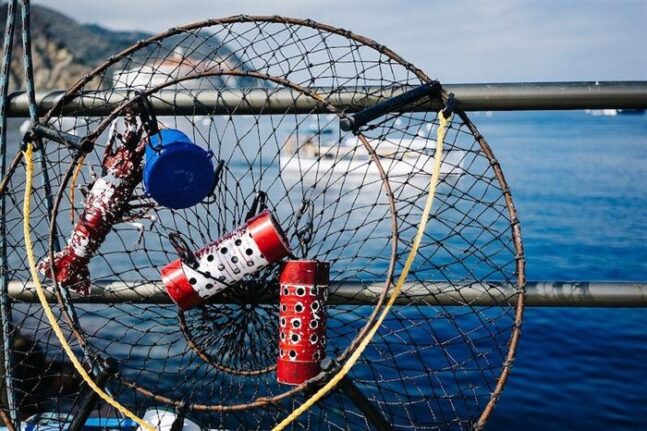 Δυτική Αχαΐα: Πλιάτσικο στη λιμνοθάλασσα!