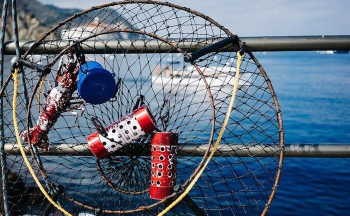 Δυτική Αχαΐα: Πλιάτσικο στη λιμνοθάλασσα!