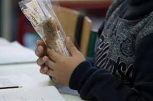 Αιγιάλεια: Μαθητικά γεύματα καταλήγουν άθικτα στα σκουπίδια από τα ίδια τα παιδιά