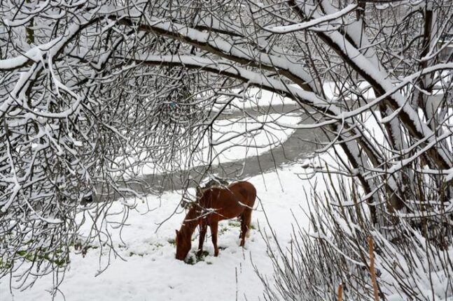 Η «Μήδεια» έφερε «μπλακ άουτ»: Σε ποιες περιοχές έχει διακοπεί η ηλεκτροδότηση