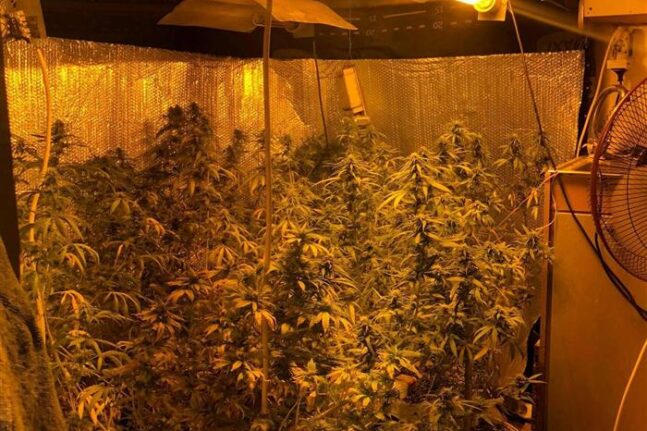 Ζάκυνθος: Το τροχόσπιτο ήταν εργαστήριο κάνναβης