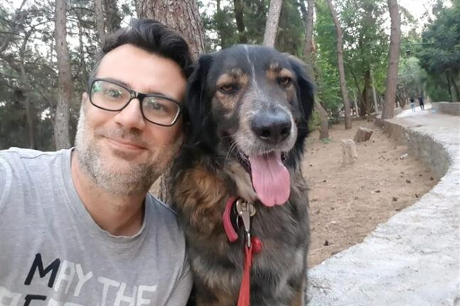 Παλαιοδήμος: «Ο Δήμος Πάτρας υποχρεούται να δημιουργήσει καταφύγιο αδέσποτων ζώων»