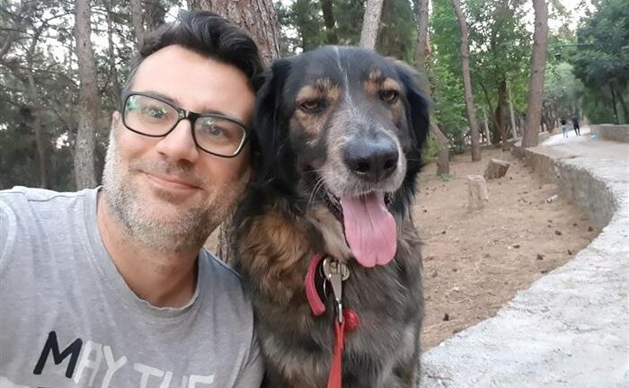 Παλαιοδήμος: «Ο Δήμος Πάτρας υποχρεούται να δημιουργήσει καταφύγιο αδέσποτων ζώων»