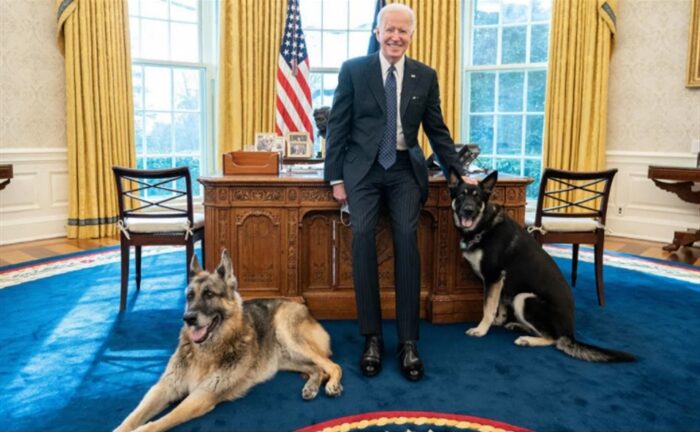 O σκύλος του Μπάιντεν ξαναδάγκωσε υπάλληλο στον Λευκό Οίκο!