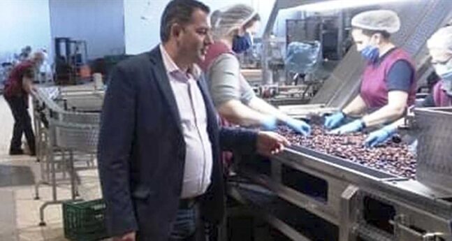 Θετικές εξελίξεις στην ενίσχυση για τις ελιές Καλαμών