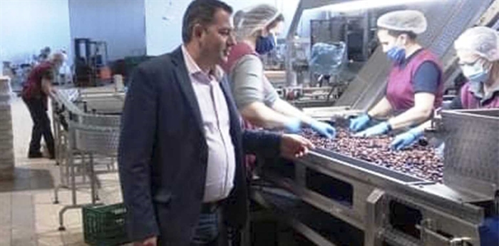 Θετικές εξελίξεις στην ενίσχυση για τις ελιές Καλαμών Θετικές εξελίξεις στην ενίσχυση για τις ελιές Καλαμών