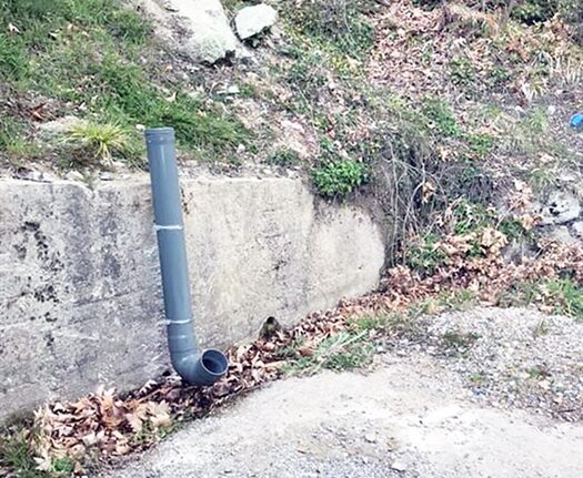 Αιγιάλεια - Ακράτα: Αυτόματες ταΐστρες αδέσποτων
