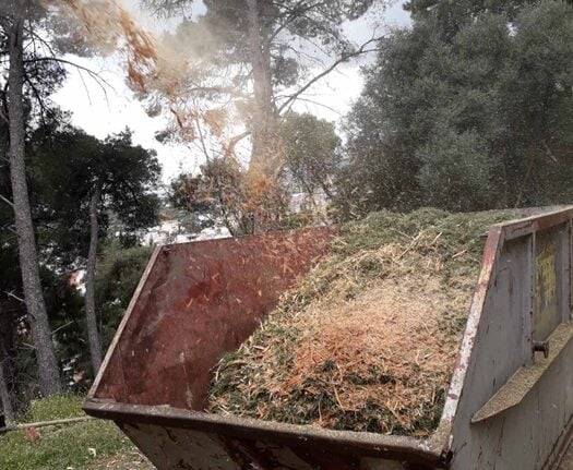 Συνεχίζονται και φέτος ο καθαρισμός και η κοπή δέντρων στο Κάστρο Ναυπάκτου
