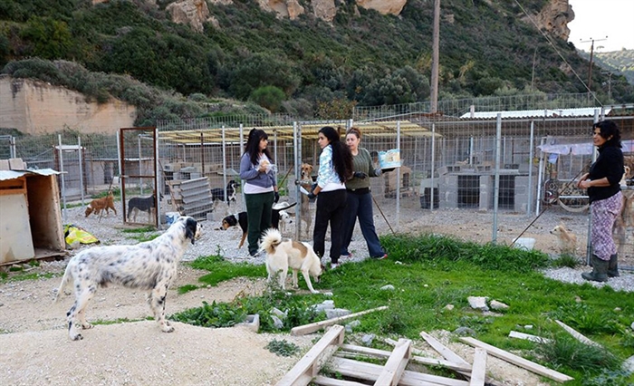 Δημοτικό Κτηνιατρείο και Καταφύγιο Ζώων στην Ακράτα