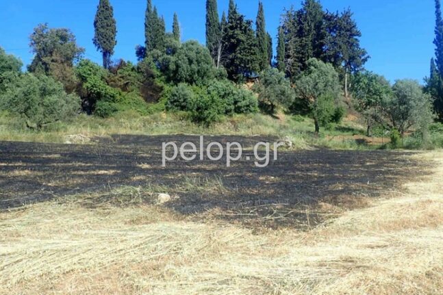 ΝΕΟΤΕΡΑ- Πάτρα: Φωτιά στην Οβρυά, κοντά σε σπίτια