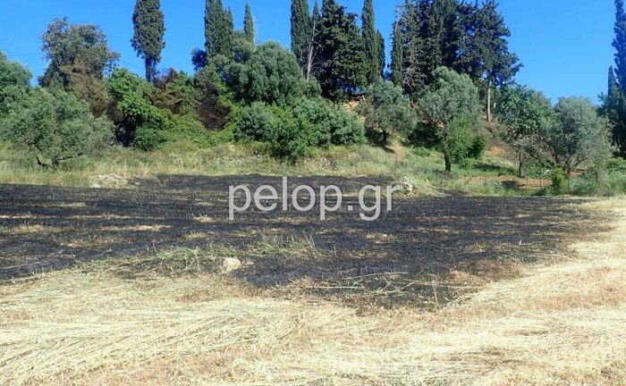 ΝΕΟΤΕΡΑ- Πάτρα: Φωτιά στην Οβρυά, κοντά σε σπίτια