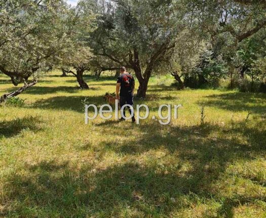 Πάτρα: Βίντεο οδήγησε στον εντοπισμό του 78χρονου αγνοούμενου