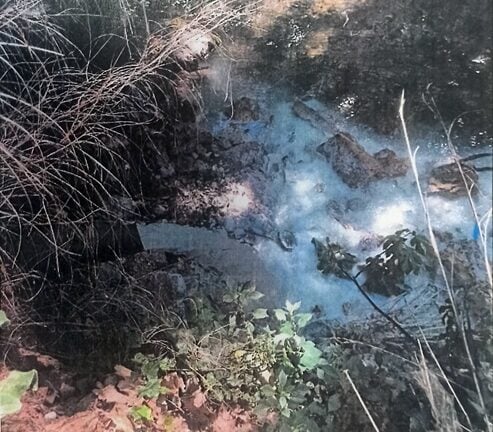 Ερύμανθος: Το τυρόγαλο... πάει στην ποταμιά - Καταγγελίες στην Περιφέρεια για ρύπανση από επιχείρηση