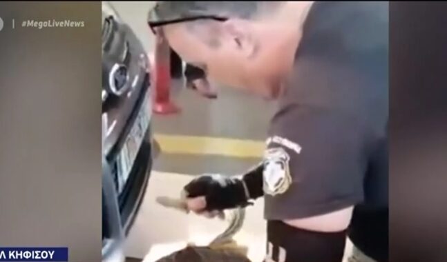 Φίδι σκόρπισε τον… πανικό στα ΚΤΕΛ Κηφισού