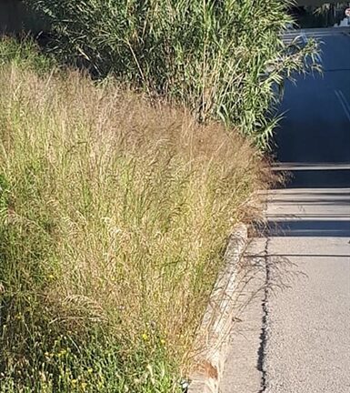 Πάτρα: Τα νέα μαρτύρια της Αγίας Ειρήνης - Γιατί διαμαρτύρονται οι κάτοικοι της περιοχής