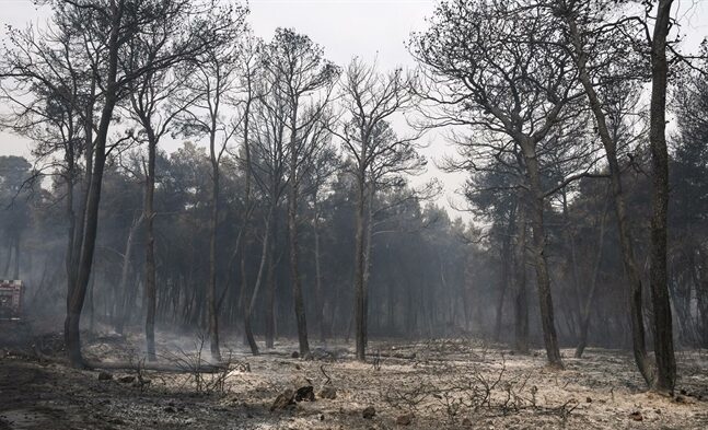 Σοκαριστικές εικόνες καταστροφής από το πέρασμα της φωτιάς στα Γεράνεια Ορη