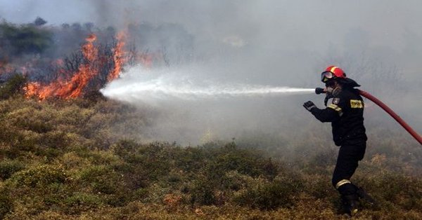 Λακωνία: Υπό μερικό έλεγχο η φωτιά στην περιοχή Δαφνί