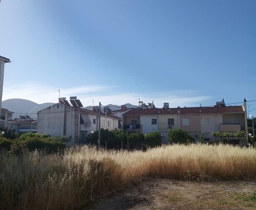 Πάτρα: 30 εργαζόμενοι, μυριάδες ζούγκλες - Προέχουν οι εργασίες πυροπροστασίας