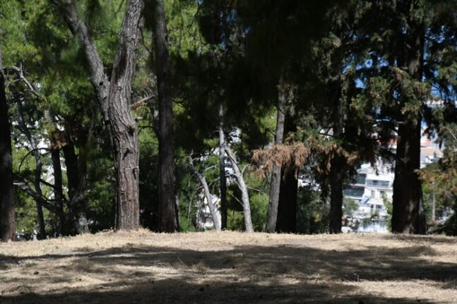 Πάτρα: Εργασίες καθαρισμού σε Σκαγιοπούλειο και Δασύλλιο