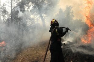 Σέρρες: Πυρκαγιά σε δασική περιοχή στο Αηδονοχώρι