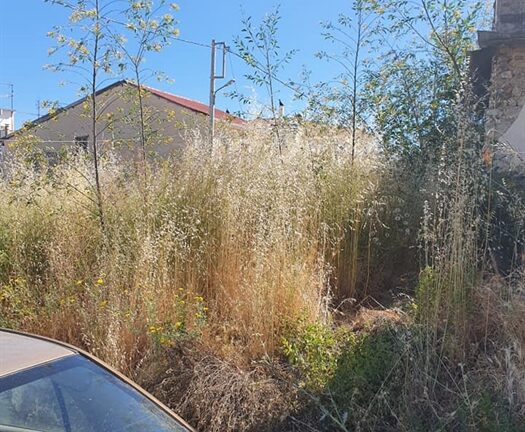 Πάτρα: Νέα έκκληση από το Δήμο για καθαρισμό οικοπέδων Πάτρα: Νέα έκκληση από το Δήμο για καθαρισμό οικοπέδων