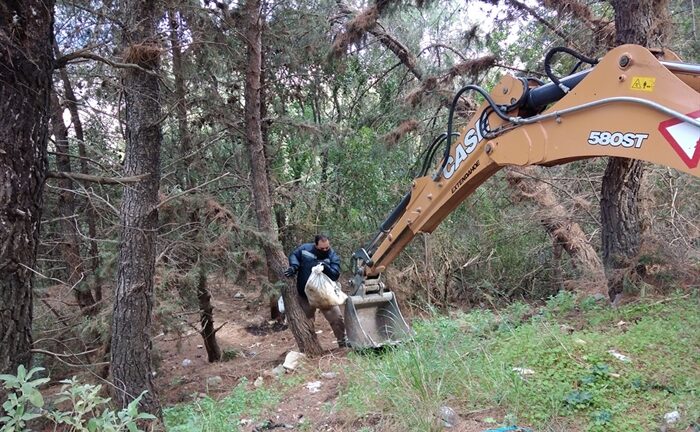 Πάτρα: Αποψιλώσεις και ψεκασμοί δέντρων σε πολλές περιοχές