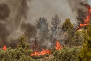 Κεφαλονιά: Φωτιά κοντά στο Αργοστόλι - Ισχυρές δυνάμεις της Πυροσβεστικής ΝΕΟΤΕΡΑ