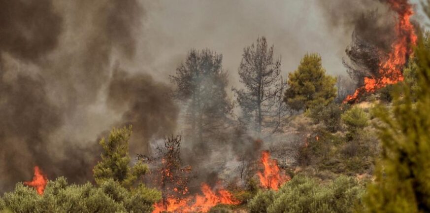 Κεφαλονιά: Φωτιά κοντά στο Αργοστόλι - Ισχυρές δυνάμεις της Πυροσβεστικής ΝΕΟΤΕΡΑ