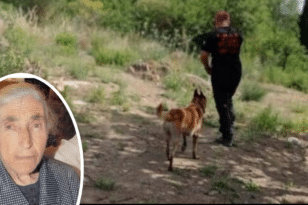 Aιγιάλεια: Εντοπίστηκε νεκρή η 88χρονη αγνοούμενη - Την βρήκε ο σκύλος της ΕΜΑΚ