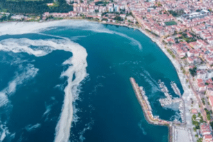 Τουρκία: Έφτασε στις ακτές της Ίμβρου η βλέννα - Πλήγμα για τον τουρισμό ΒΙΝΤΕΟ