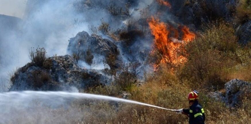 Νέα φωτιά στη Κεφαλονιά - Ισχυρές δυνάμεις της Πυροσβεστικής ΦΩΤΟ