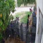 Πάτρα: Επικήρυξε τον δράστη που του έκλεψε τον σκύλο δημοσιεύοντας βίντεο στο Facebook- ΦΩΤΟ