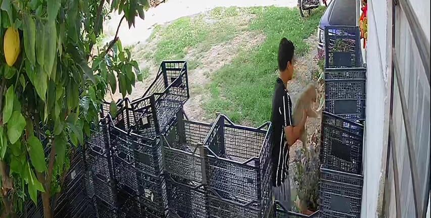 Πάτρα: Επικήρυξε τον δράστη που του έκλεψε τον σκύλο δημοσιεύοντας βίντεο στο Facebook- ΦΩΤΟ