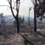 Αχαΐα: Ασταμάτητη η φωτιά στην Ανω Ζήρια - Ηρθαν ενισχύσεις από τη Θεσσαλονίκη - Τραυματίες και αποκαΐδια ΝΕΕΣ ΦΩΤΟ