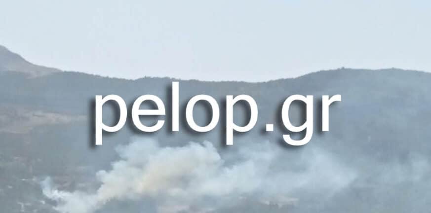 Αχαΐα: "Κατέρρευσε" πυροσβέστης στη φωτιά της Δροσιάς