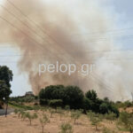 Πάτρα - ΕΚΤΑΚΤΟ: Φωτιά στην περιμετρική στο ύψος των Μποζαϊτικων - Στην μάχη της κατάσβεσης και εναέρια μέσα ΦΩΤΟ