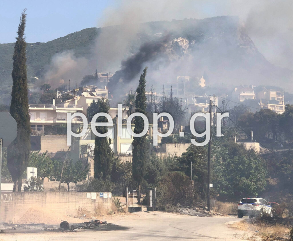 Τι "βλέπει" η Πυροσβεστική για τις φωτιές σε Ελεκίστρα και Δροσιά - Στην Αχαΐα κλιμάκιο Εγκλημάτων Εμπρησμού - Vimarsana News